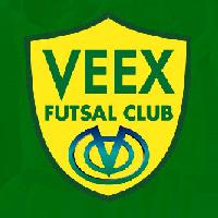 フットサルビークス